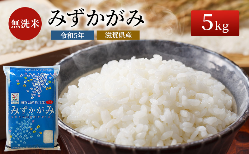 令和5年産ふるさと応援特別米みずかがみ（BG無洗米）5kg