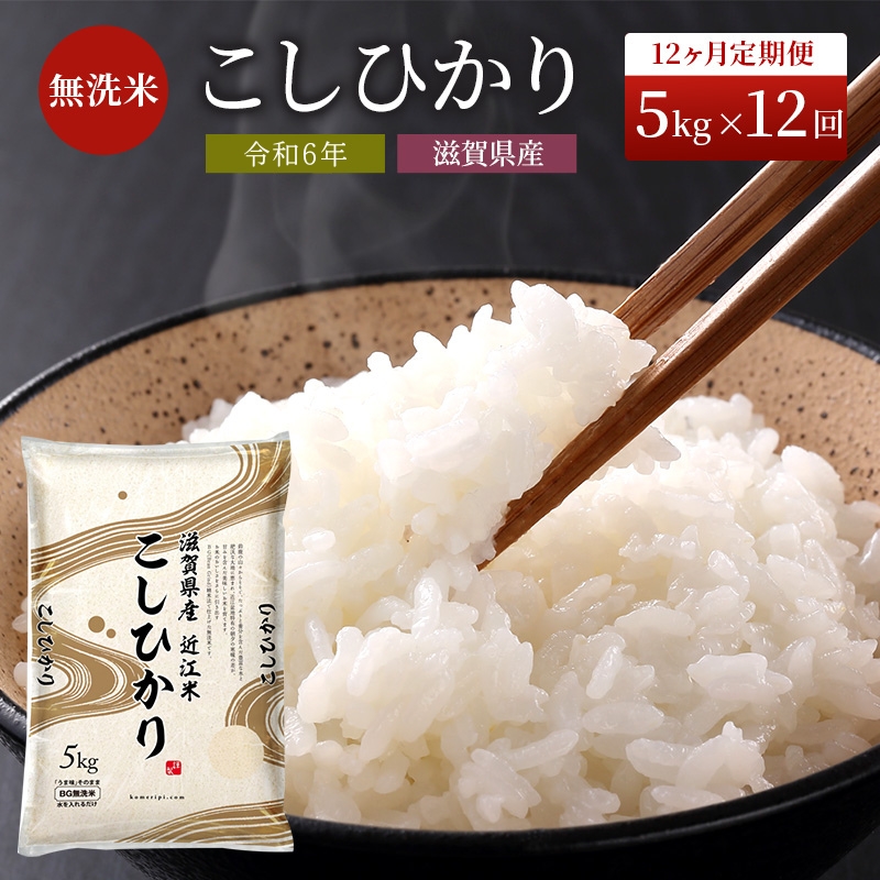 米 定期便 12ヶ月 こしひかり BG無洗米 5kg 令和6年産新米 ふるさと応援特別米 無洗米 お米 こめ コメ おこめ 白米 コシヒカリ 12回 お楽しみ