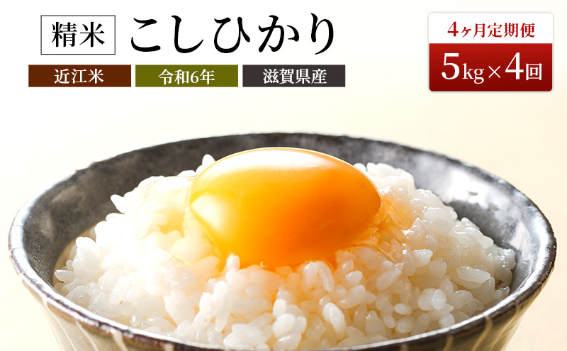 [新米][定期便]令和6年産 豊かな郷の近江米(コシヒカリ)5kg×4ヶ月連続