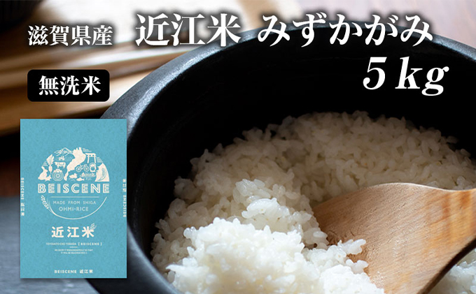 令和5年産滋賀県豊郷町産　近江米 みずかがみ　無洗米　5kg