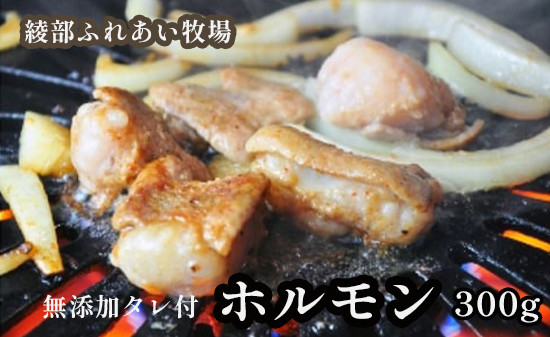 ホルモン焼き 300g（3〜4人前）京都牛と牧場の無添加たれで作るホルモン焼き 牛 牛肉 ホルモン ほるもん ホルモン焼き お土産 BBQ アウトドア パーティー 焼くだけ 簡単 京都 綾部