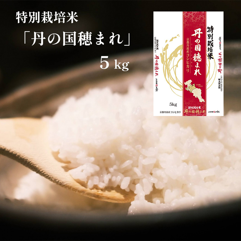 特別栽培米コシヒカリ「丹の国穂まれ」 5kg