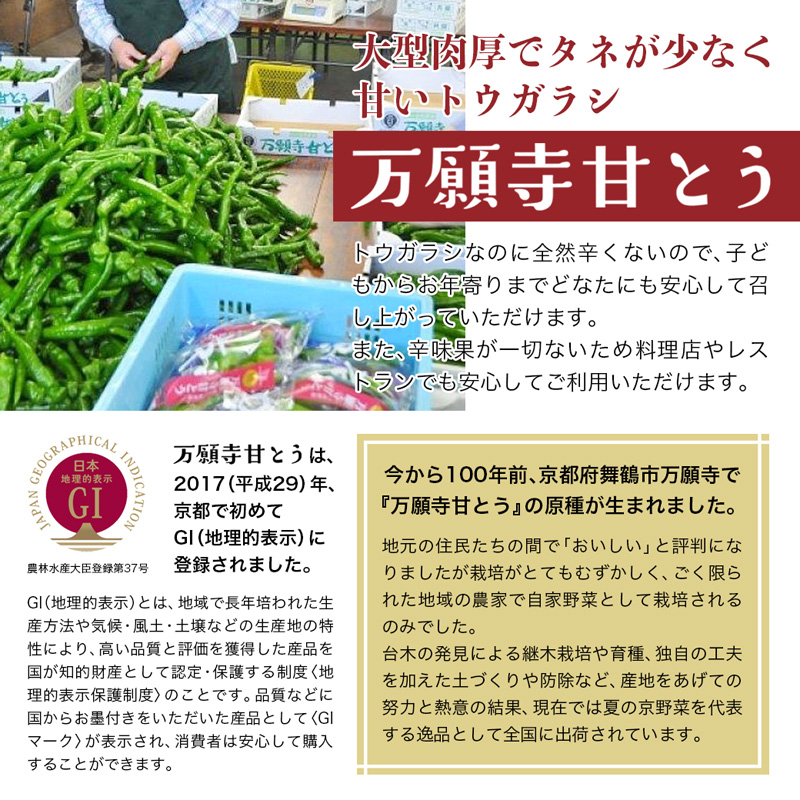 2024年7月〜発送】 万願寺甘とう 1.2kg 【 国産 旬 季節の野菜 ...