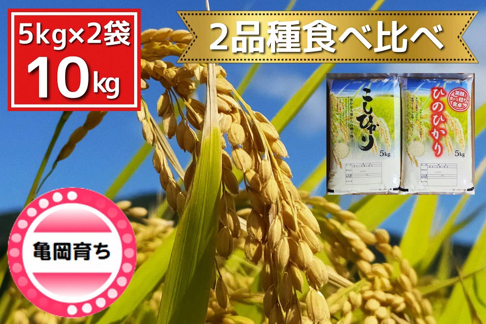 米 2品種 コシヒカリ・ヒノヒカリ 食べ比べ 5kg × 2袋 10kg 施肥技術