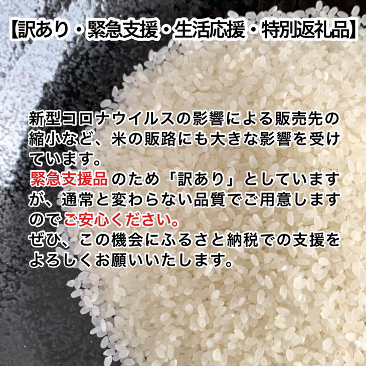 訳あり【3回定期便】京都丹波産 きぬひかり 10kg(5kg×2)×3ヶ月 計30kg