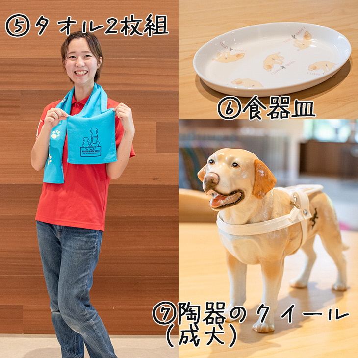 盲導犬 訓練 支援寄附 記念品［陶器のクイール（成犬）・タオル2