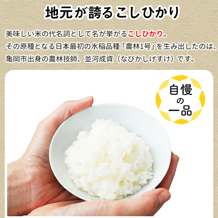 2カ月に1回お届け】訳あり 定期便 新米 10kg 3ヶ月 京都丹波米