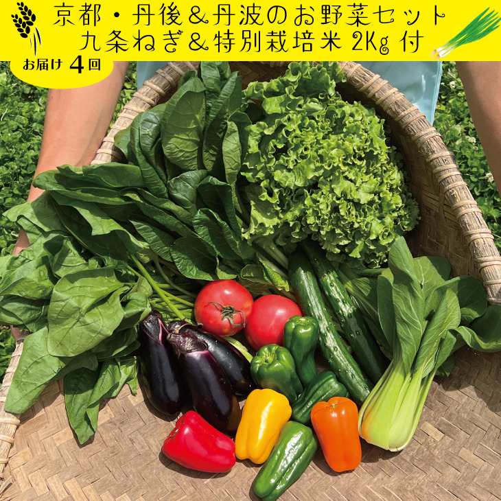 定期便】合計4回お届け 九条ねぎ ＆ コシヒカリ 2kg（丹後