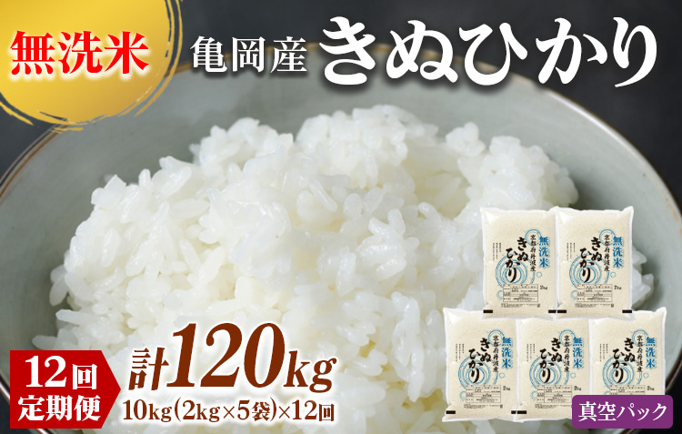 定期便 無洗米 10kg 12ヶ月 真空パック 京都丹波産 キヌヒカリ 12回