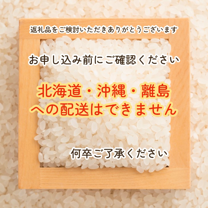 令和元年キヌヒカリお米30キロ - 米/穀物