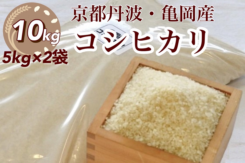 令和5年 新米 米 10kg 京都丹波産 コシヒカリ 白米＜JA京都 たわわ朝霧