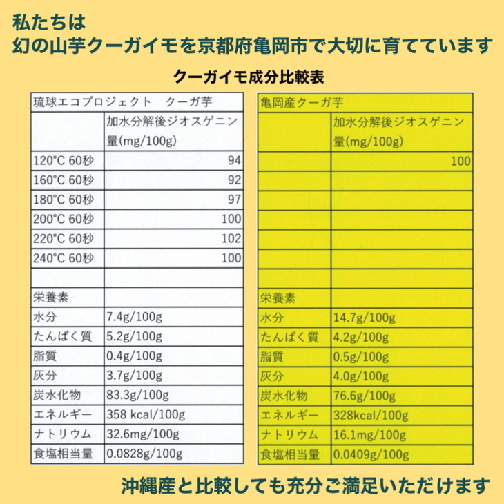 無農薬栽培 自然薯（亀岡産クーガ芋）1kg 期間限定《いも 芋 山芋 琉球