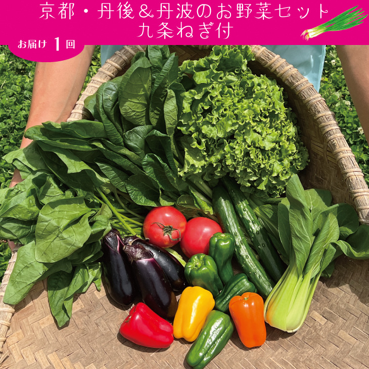 九条ねぎ & 野菜詰め合わせ 有機野菜・京野菜の『京都やおよし』京都