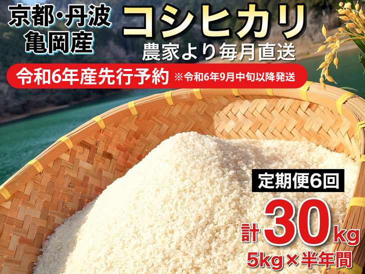 令和6年産先行予約】米 定期便 5kg×6ヶ月 30kg コシヒカリ 佐伯の里の