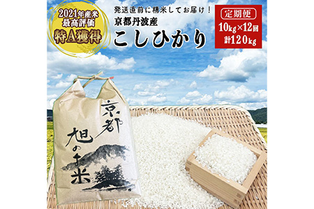 コシヒカリ【白米20kg】※2/14㈪発送※ ○箱なし○ 京都府産新米 精米