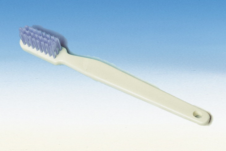 fieldlabo 歯列模型 大 小 2点セット 歯ブラシ付き 歯磨き 指導 教