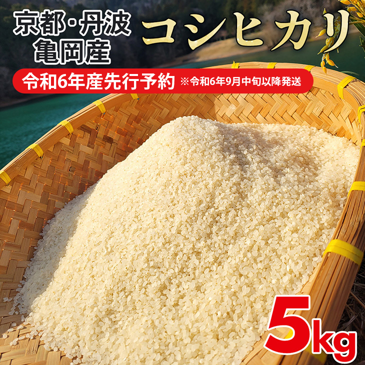 令和6年産先行予約】【お試し】米 5kg コシヒカリ 佐伯の里の源流米