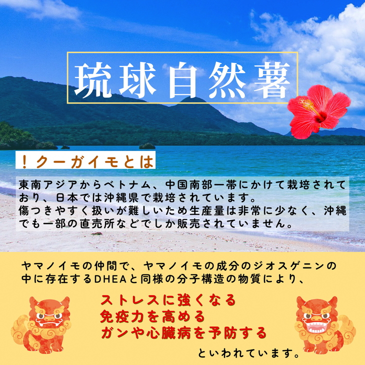 最も完璧な 沖縄県産農薬不使用クーガ芋10Kg cosycasa.co.il