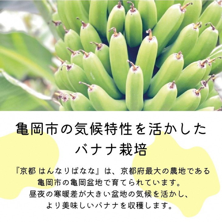 先行予約 国産バナナ 5本セット 皮まで食べられる 『京都はんなり