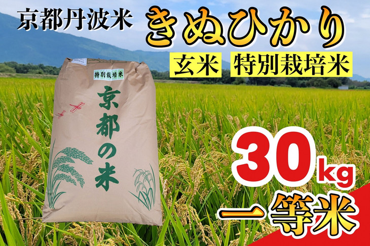 特別栽培米 玄米〈コシヒカリ〉10kg ※離島不可 北海道 沖縄本島は配送可能 ※着日指定不可