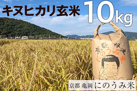 新米 キヌヒカリ 玄米 10kg〈アグリにのうみ〉京都・亀岡産《令和5年産