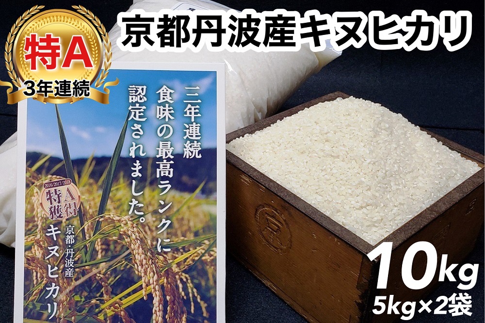 令和5年産 米 10kg 京都丹波産 キヌヒカリ 白米＜JA京都 たわわ朝霧