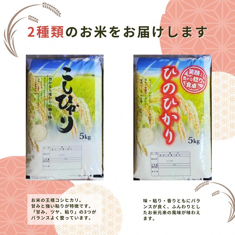 米 2品種 コシヒカリ・ヒノヒカリ 食べ比べ 5kg × 2袋 10kg 施肥技術