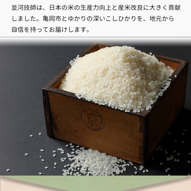 お試し】訳あり 米 5kg 京都丹波米 こしひかり 白米［新米・令和5年産