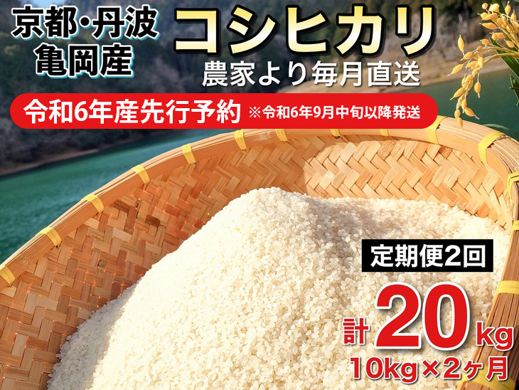 令和6年産先行予約】米 定期便 10kg×2ヶ月 20kg コシヒカリ 佐伯の里の