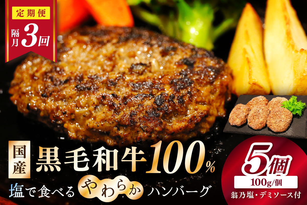 <定期便・隔月3回>塩で食べるやわらかハンバーグ（デミグラスソース付）