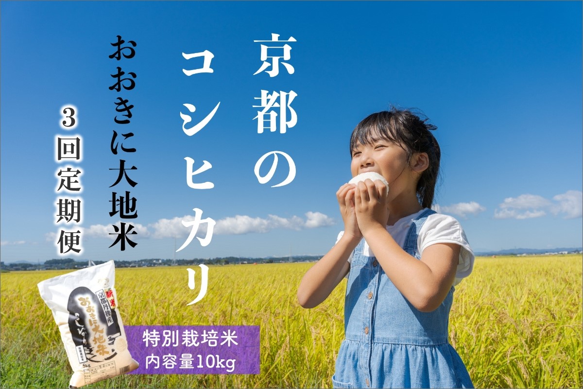 《定期便3か月》特別栽培米コシヒカリ「おおきに大地米」10kg 令和5年産