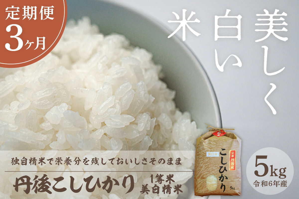 【定期便3回】令和6年産 美白精米 丹後こしひかり 5kg×3ヵ月 1等米