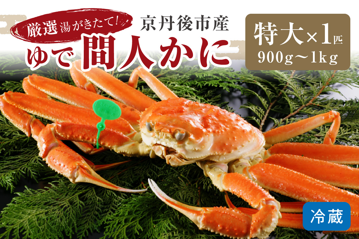 【1〜3月発送】厳選湯がきたて！京丹後市産ゆで間人かに　900g〜1kg特大サイズ/北畿水産