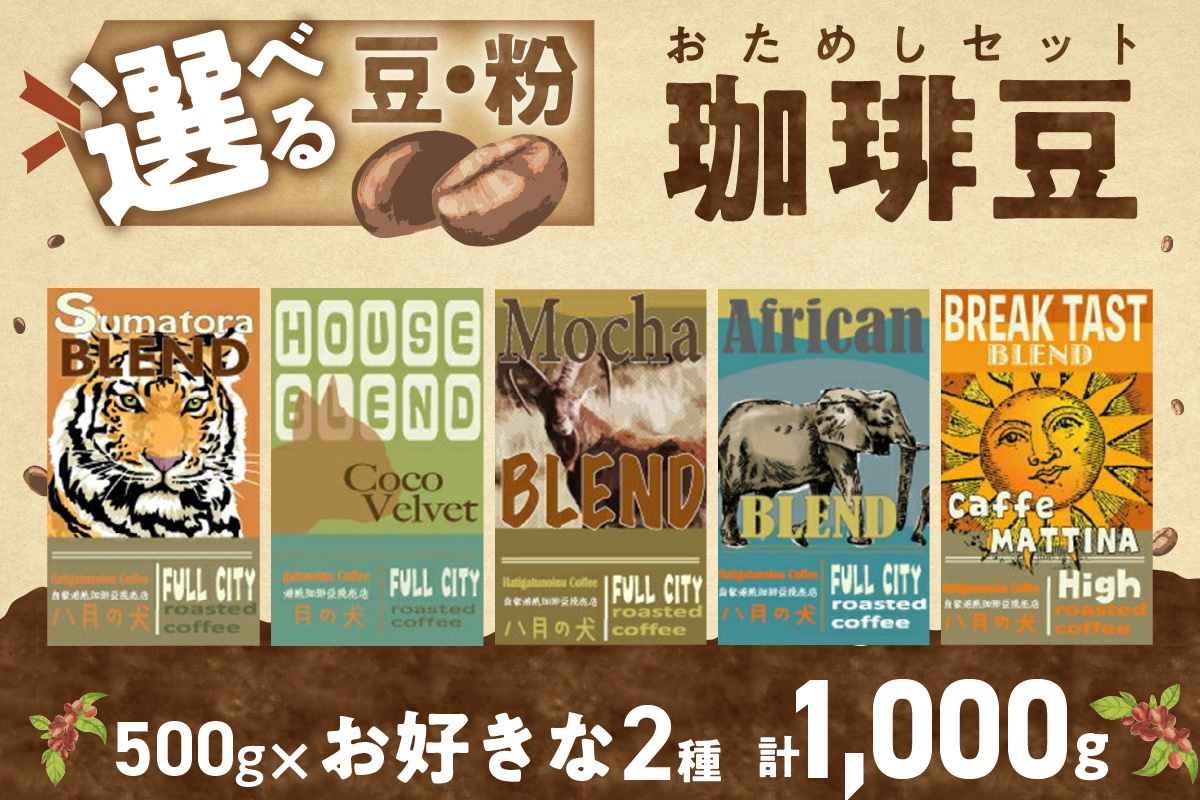 5種類から2つ選べる 自家焙煎コーヒー豆 飲み比べセット 1000g(500gx2種/約100杯分)挽き方が選べる 八月の犬