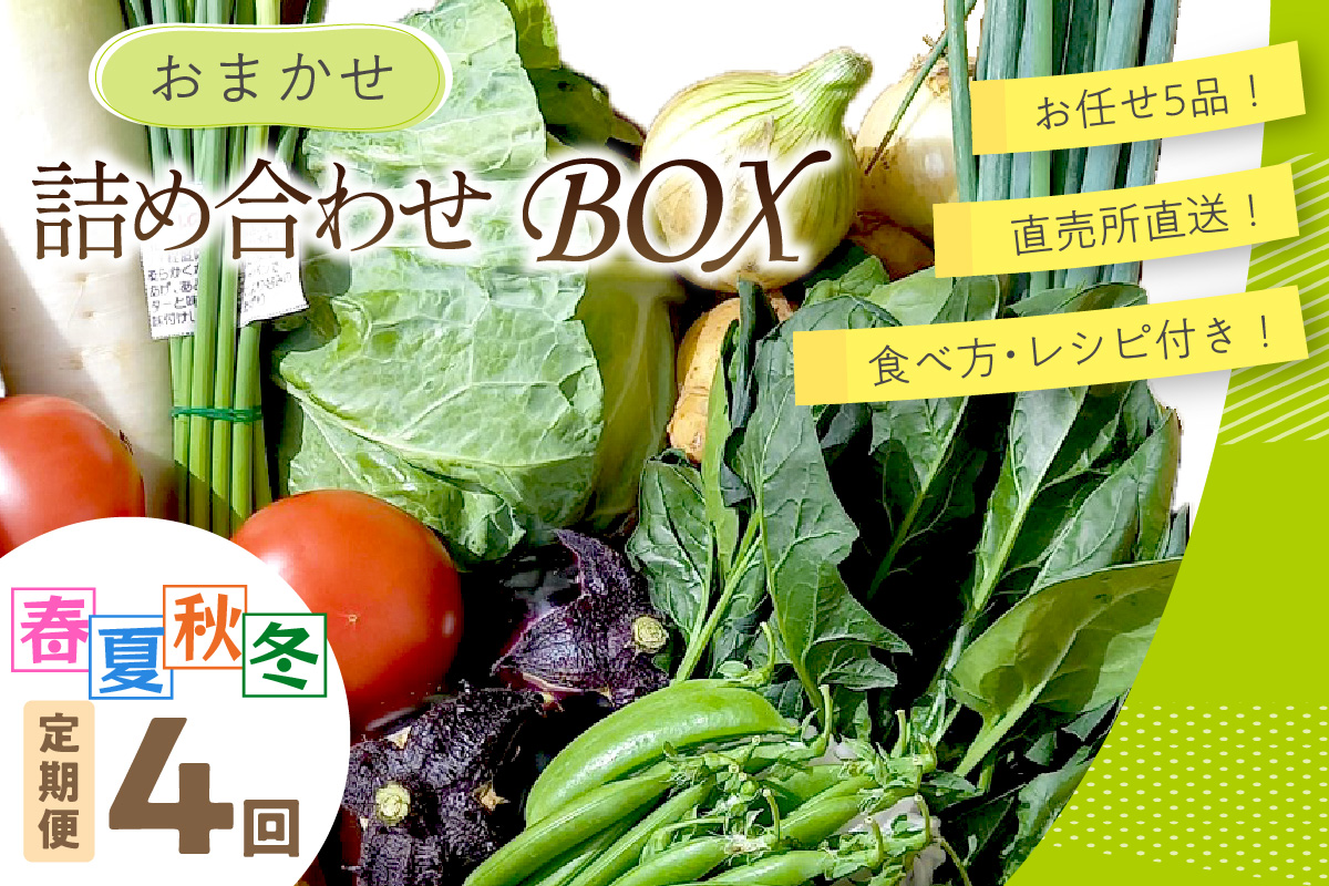 直売所直送 「京都・京丹後産 季節の野菜」お任せ詰め合わせBOX(5品) 春夏秋冬定期便4回 食べ方・レシピ付き