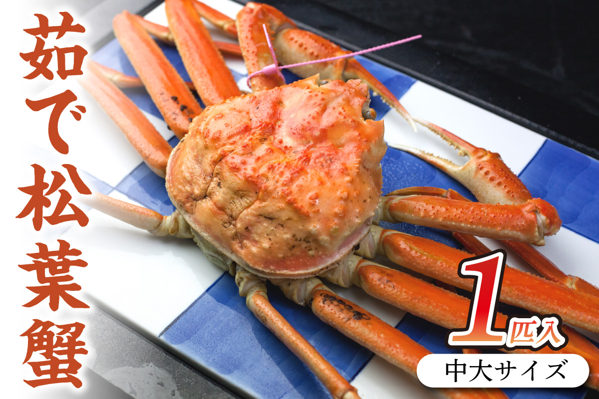 日本海産 ブランド蟹 茹で松葉蟹 【厳選】 中大サイズ　matubakani800