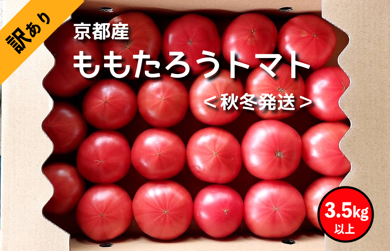 高糖度】ももたろうトマト（秋冬発送） 訳あり 3.5キロ以上 不揃い