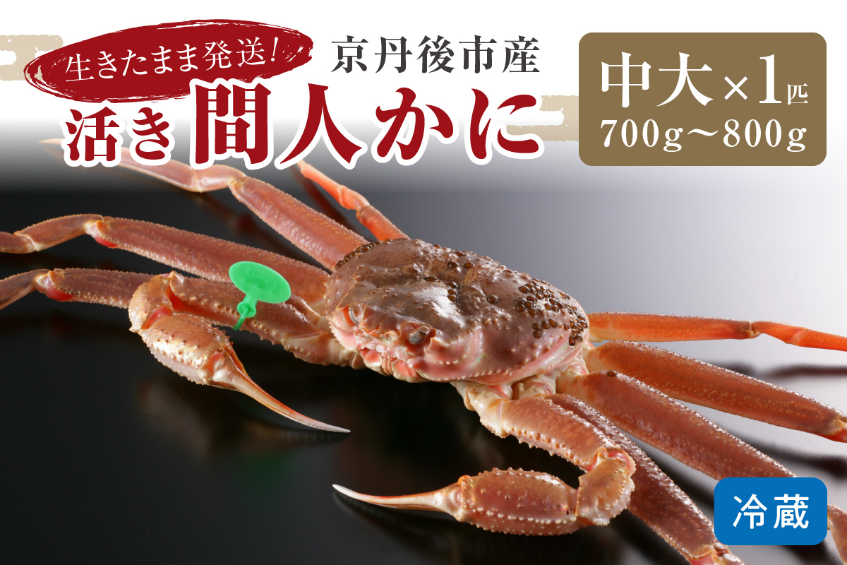 【1〜3月発送】最高鮮度の生きたまま発送！京丹後市産活間人かに　700g〜800g中大サイズ/北畿水産