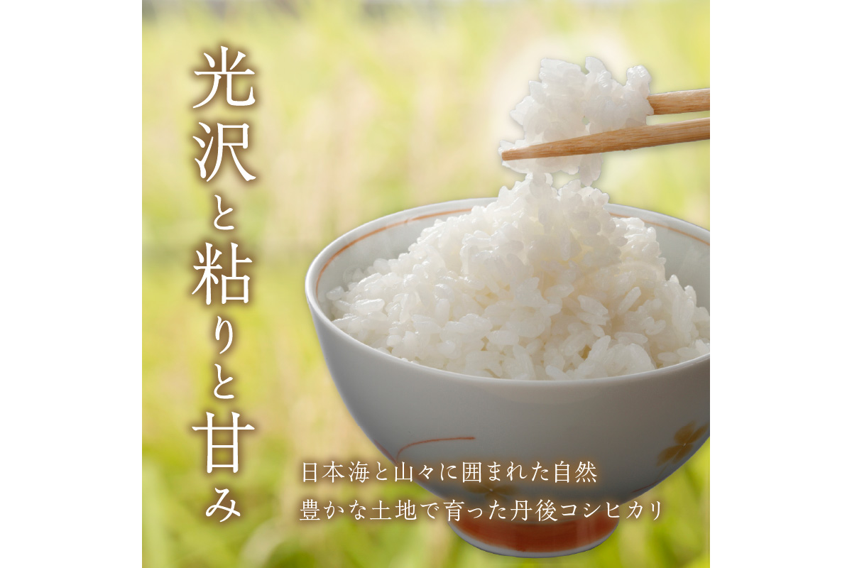 3ヶ月定期便】直売所直送「令和5年産 京丹後市産 コシヒカリ」 精米5kg