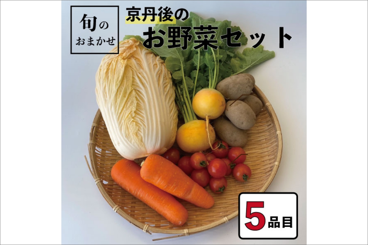 旬のお野菜おまかせ5種セット（1~2人）｜ふるラボ