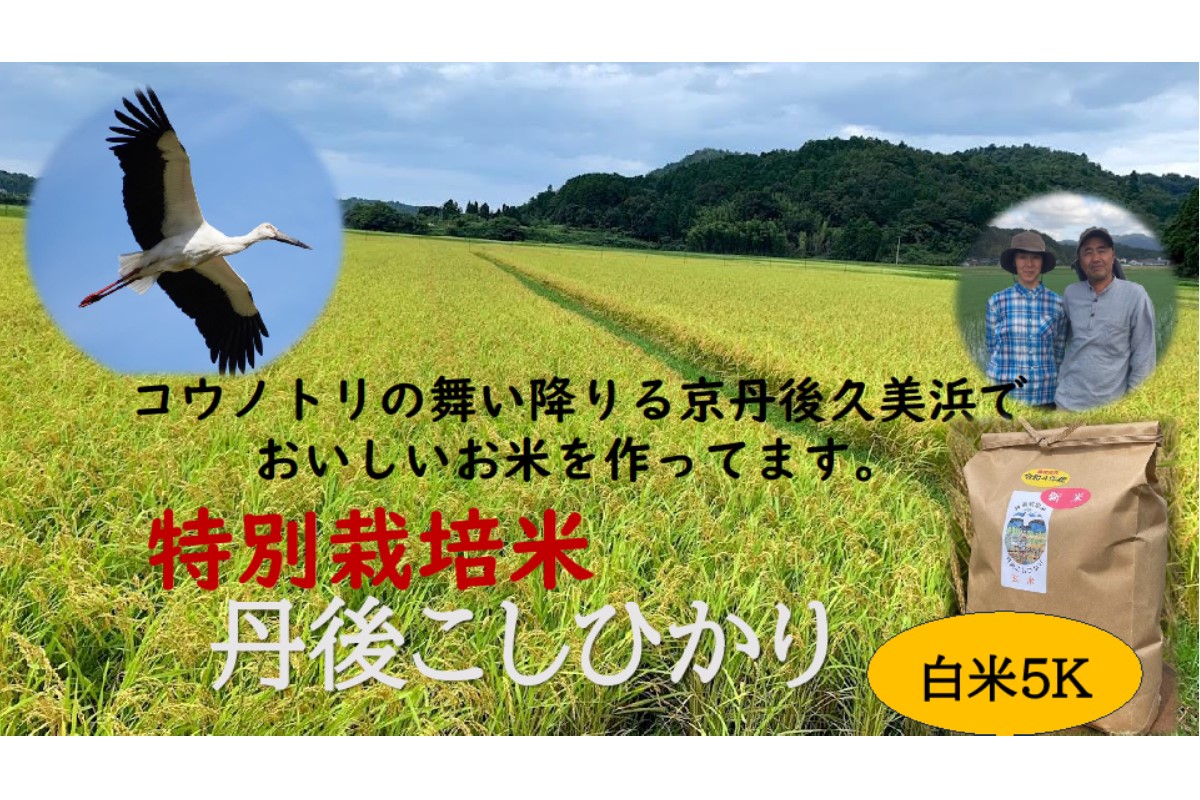 6ケ月連続 福井県若狭町コシヒカリ（一等米）10kg（5kg×2）（神谷農園