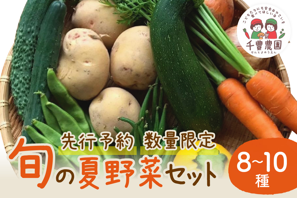 【先行予約／数量限定100】農家直送　旬の夏野菜8〜10種セット