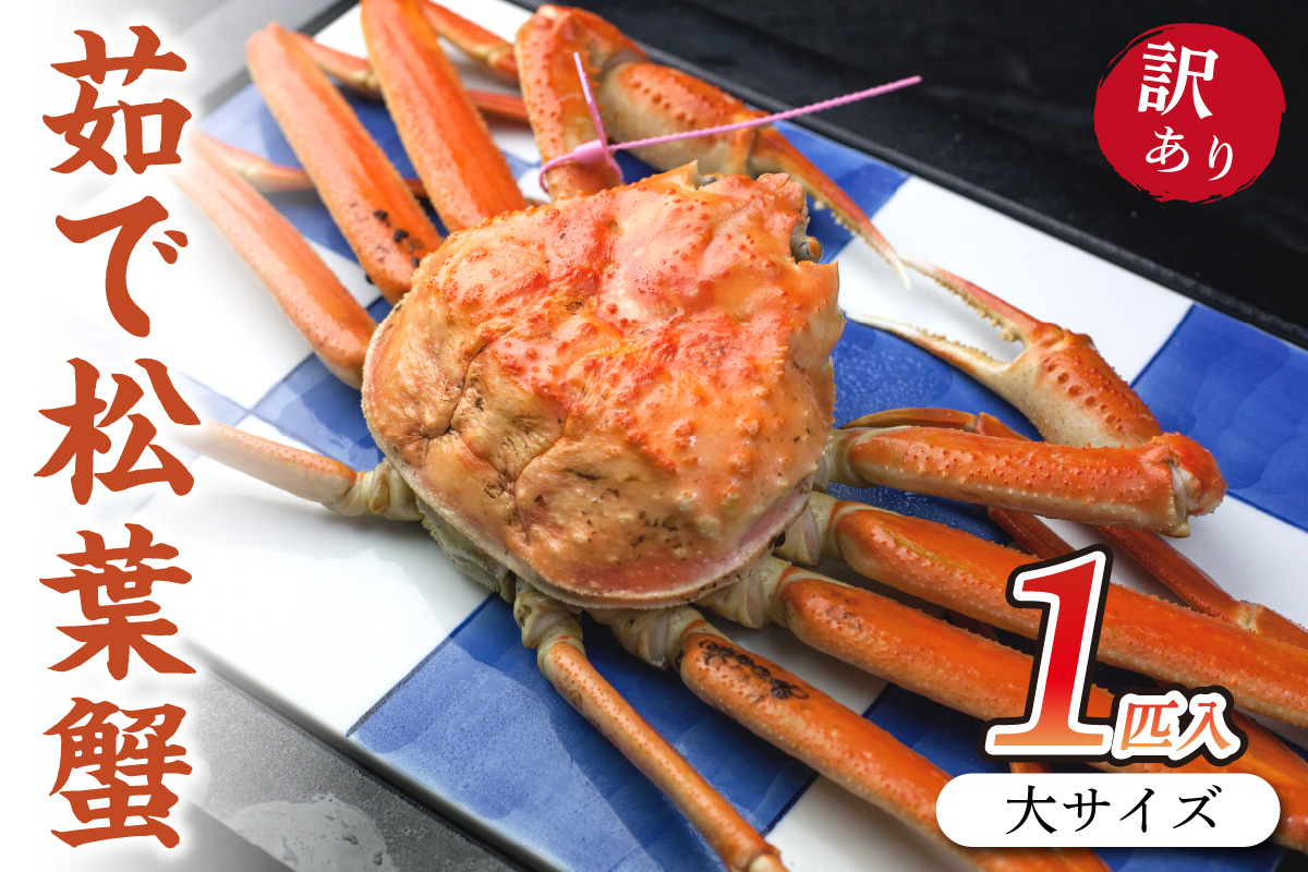 日本海産 ブランド蟹　茹で松葉蟹 【訳あり】大サイズ　matubakani900