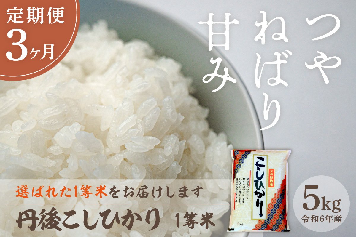 【定期便3回】令和6年産 丹後こしひかり 5kg×3ヵ月 1等米