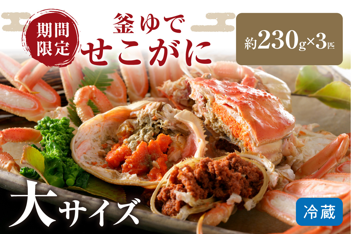 【12月発送】先行予約！山陰日本海冬の味覚　釜ゆでせこがに　食べ応えのある大サイズ3匹入り/北畿水産