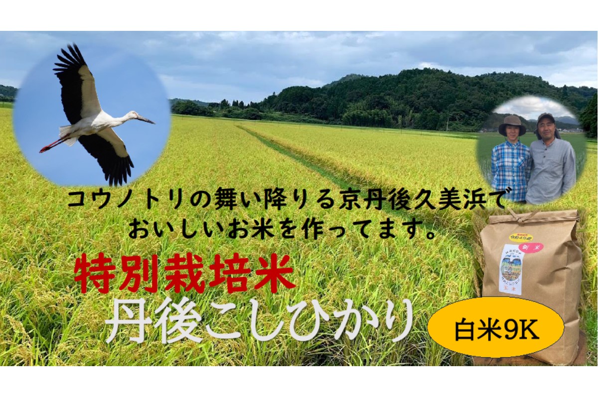 【定期便】白米9kg×6か月　京丹後久美浜産　特別栽培米こしひかり