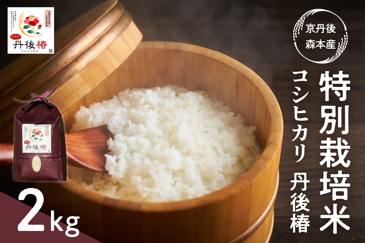 令和6年産 特別栽培米コシヒカリ 丹後椿（京丹後森本産） 2kg