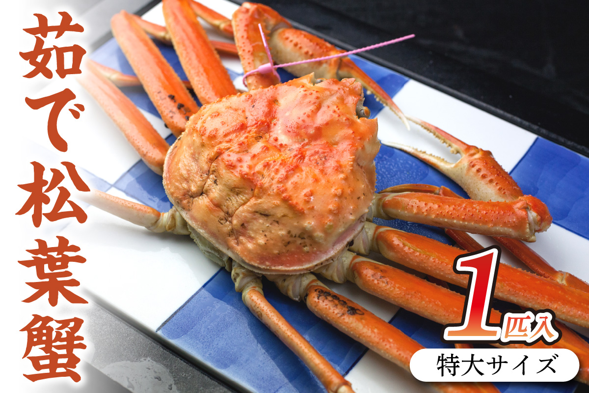 日本海産　ブランド蟹　茹で松葉蟹【厳選】特大サイズ　matubakani1000
