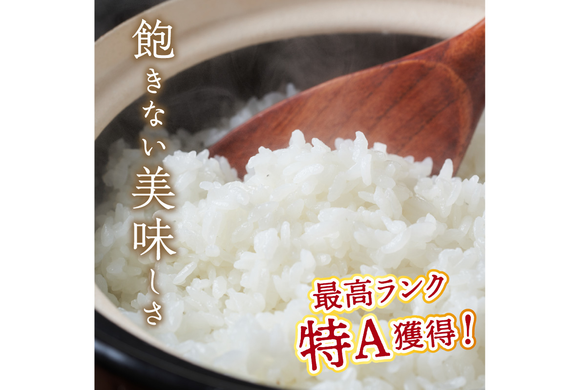 3ヶ月定期便】直売所直送「令和5年産 京丹後市産 コシヒカリ」 精米5kg