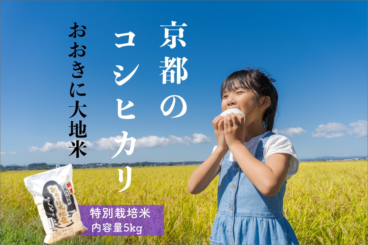 特別栽培米コシヒカリ「おおきに大地米」5kg[令和5年度産]